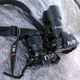 Illustration for article titled Sony A7S Adventure Tested: Ultimate Low-Light Mirrorless?